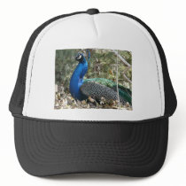 peacock in shrubs trucker hat
