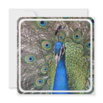 Peacock Invitation