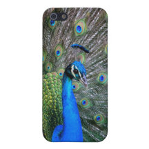 Peacock iPhone 5 Case