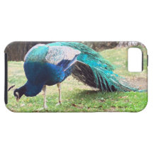 PEACOCK iPhone 5 COVER