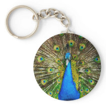 Peacock Keychain