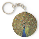 peacock keychains