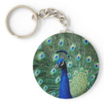 Peacock, keychain