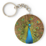 peacock keychains