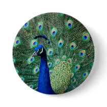 Peacock, large button