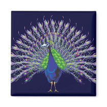 Peacock Magnets