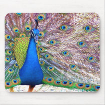 Peacock Mousepad