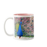 Peacock Mug