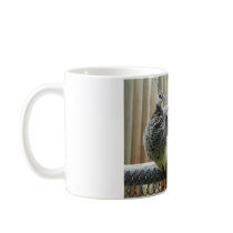 peacock mugs