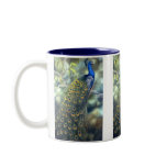 Peacock Mug