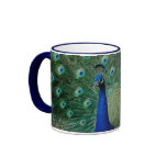 Peacock, mug