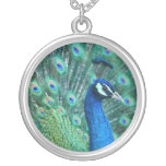 Peacock Necklace
