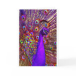 Peacock of a million colours cards