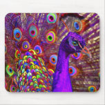 Peacock of a million colours mousepads