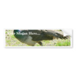 Peacock On Grass Bumper Sticker