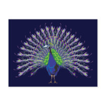 Peacock Postcards