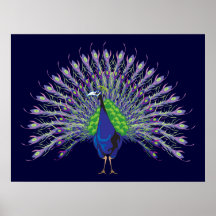 Peacock Print