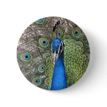 Peacock Round Button