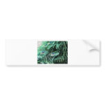 peacock tail bumper sticker