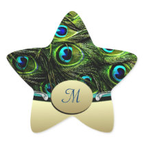 Peacock  Theme Wedding Envelope Seals