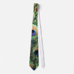 peacock, neck tie