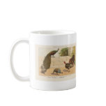 Peacock,Turkey, & Guinea Fowl mugs