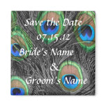 Peacock Wedding magnets