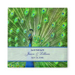 Peacock Wedding Save The Date magnets