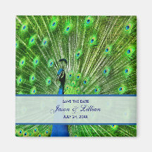 Peacock Wedding Save The Date Magnet