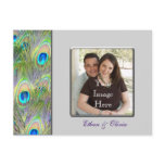 Peacock Wedding Save The Date postcards
