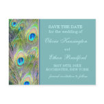 Peacock Wedding Save The Date postcards