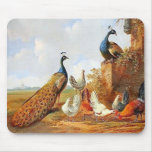 Peacocks and chickens Mousepad