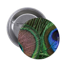 Peacocks Feathers Pin