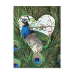 Peacocks in a Heart Postcard