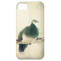 Peacocks iPhone 5 Cover