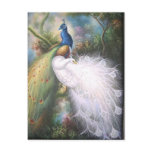 peacocks post cards