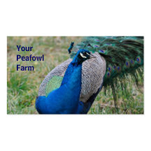 Peafowl farm business card