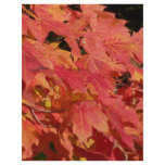 Peak leaves flyers