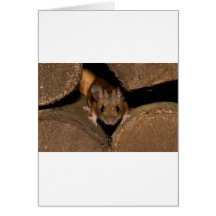 Peanut the Wood mouse Greeting Card
