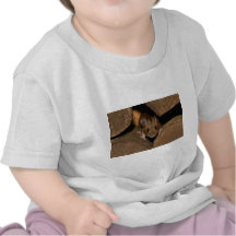 Peanut the Wood mouse Tshirt