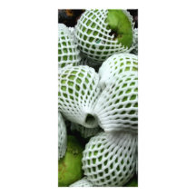 Pear Cactus Customized Rack Card
