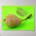 Pear Poster