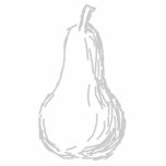 Pear Sketch. Line illustration in grey. Custom photo sculptures