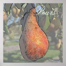 Pear Tree Art Poster