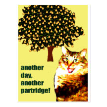 pear tree post cards