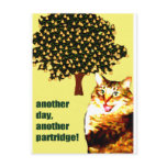 pear tree