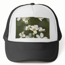 Pearls Of Nature Mesh Hat