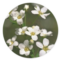 Pearls Of Nature Round Stickers