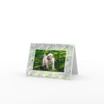 Pearly Gaits Note Card