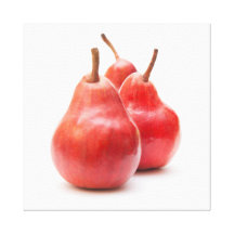 pears looking over a shoulder print stretched canvas print